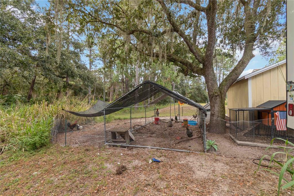 6701 Nova Road St. Cloud, FL 34771 - Photo 38 of 49 a yellow house sitting in middle of the forest