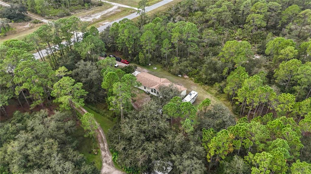 6701 Nova Road St. Cloud, FL 34771 - Photo 40 of 49 a view of a forest with a tree