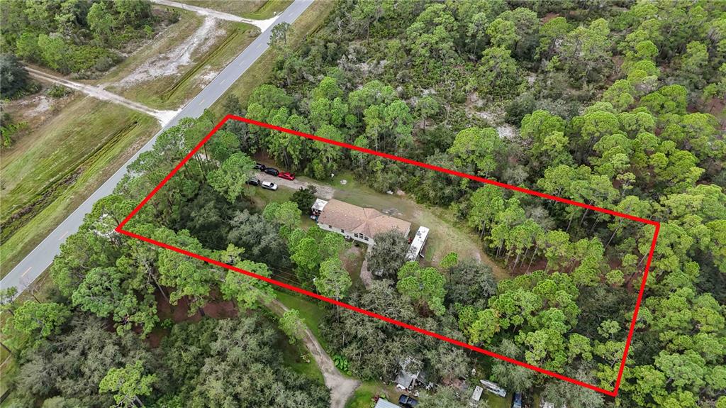 6701 Nova Road St. Cloud, FL 34771 - Photo 46 of 49 a picture of flowers