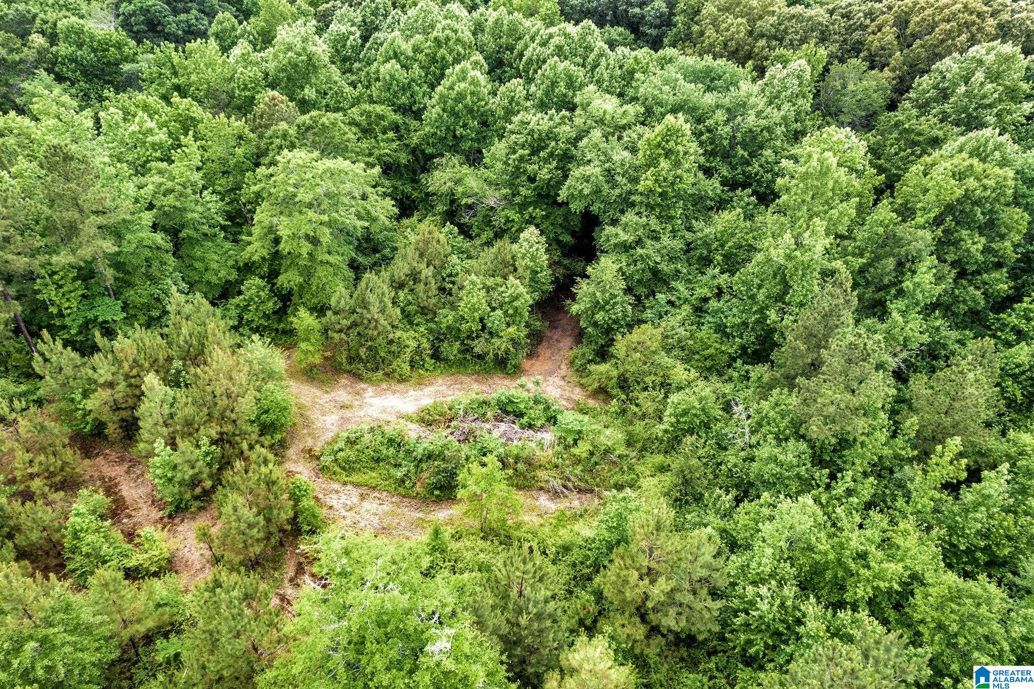 530 Mt Road Blountsville, AL 35031 - Photo 17 of 18