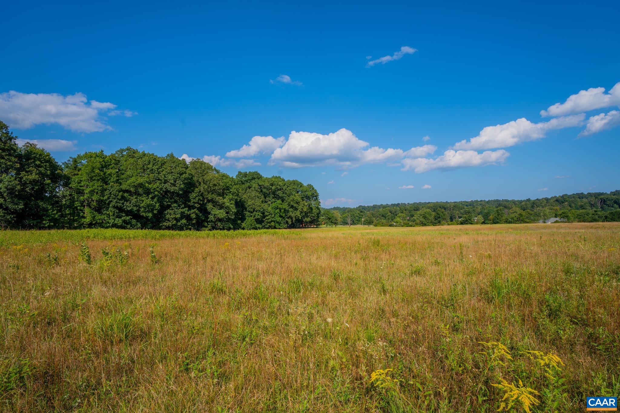 Tbd Frog Hollow Road North Winchester, VA 22603 - Photo 10 of 49 Gallery Image 10