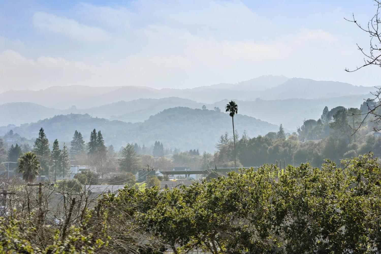 159 Michele Circle Novato, CA 94947 - Photo 34 of 39