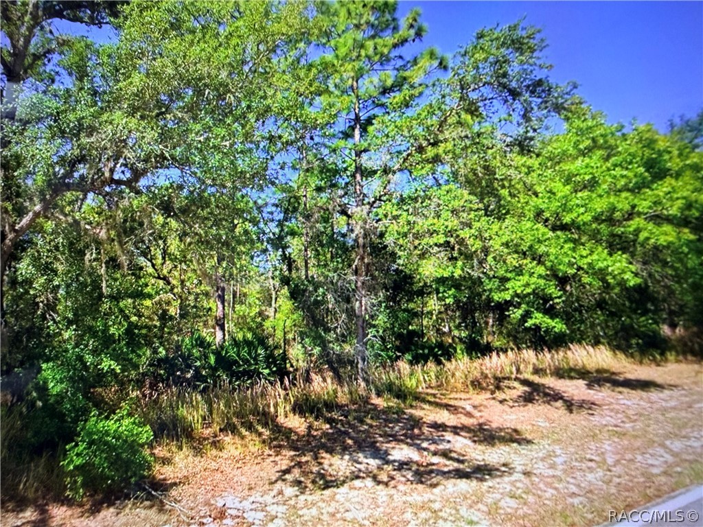 2722 West Pine Ridge Boulevard Beverly Hills, FL 34465 - Photo 3 of 5 Gallery Image 3