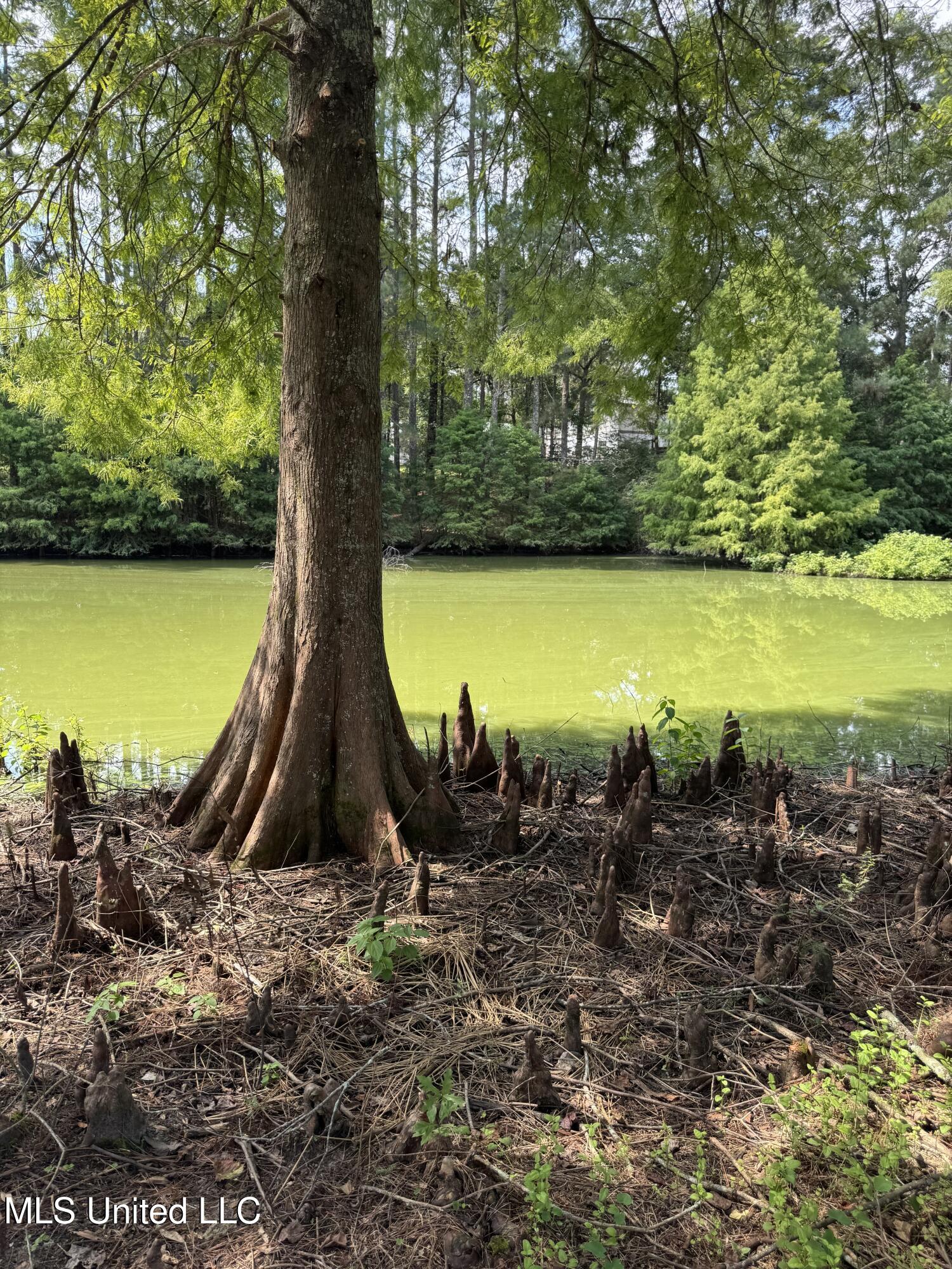 24 Dean Matthews Road Laurel, MS 39443 - Photo 32 of 43 Photo Sep 03 2025, 11 23 14 AM