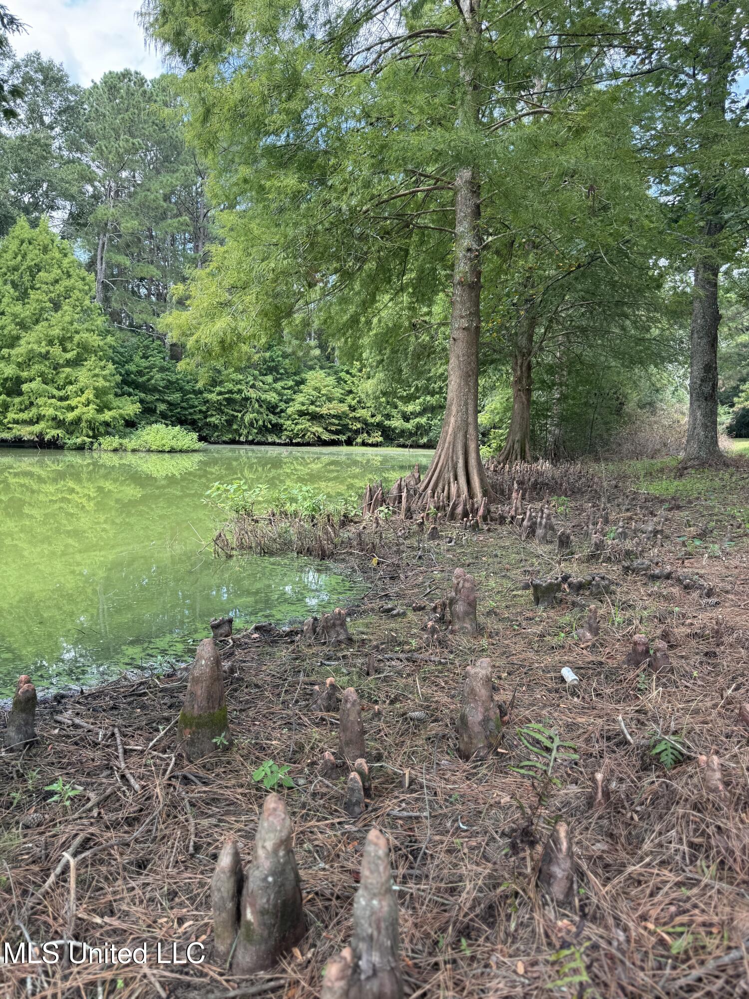 24 Dean Matthews Road Laurel, MS 39443 - Photo 33 of 43 Photo Sep 03 2025, 11 23 35 AM
