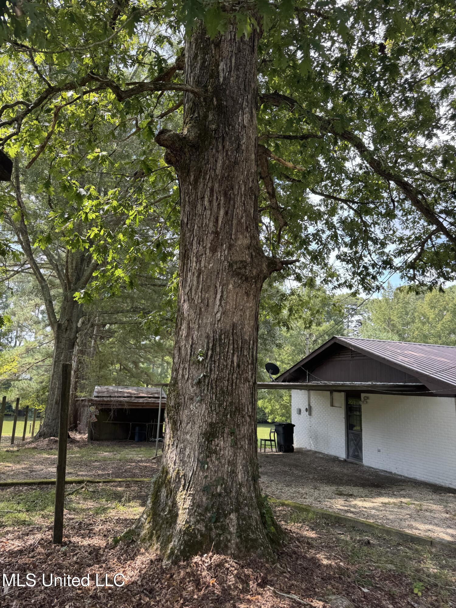 24 Dean Matthews Road Laurel, MS 39443 - Photo 43 of 43 Photo Sep 03 2025, 11 31 08 AM