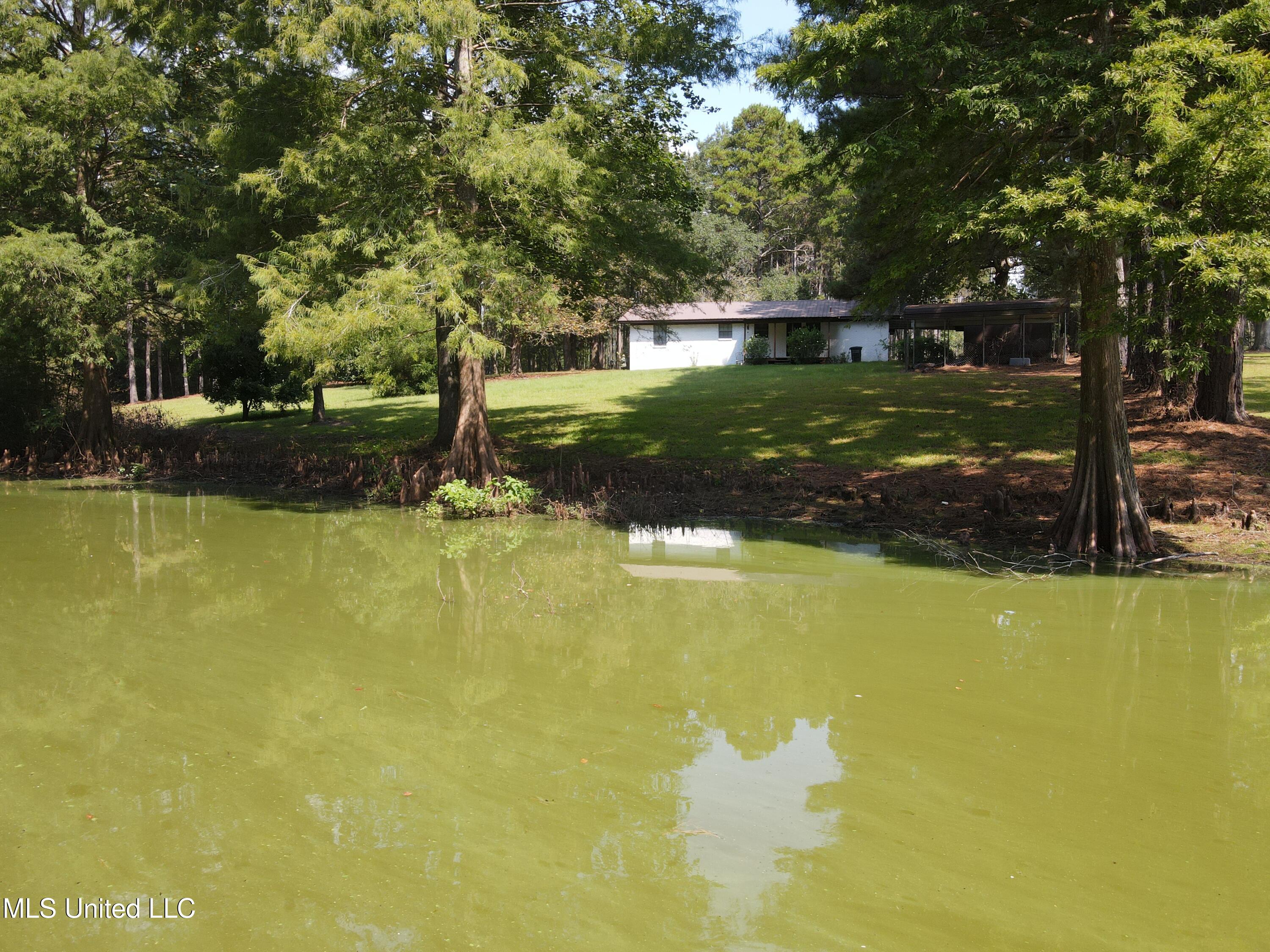 24 Dean Matthews Road Laurel, MS 39443 - Photo 5 of 43 Photo Sep 03 2025, 11 06 55 AM