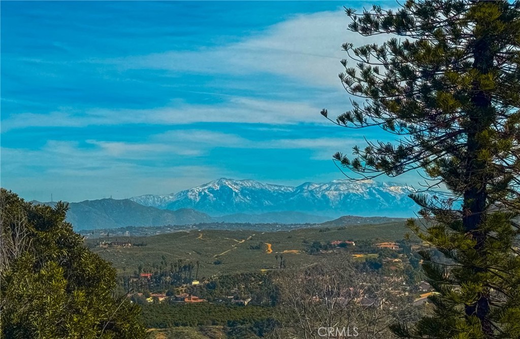 14312 Martin Riverside, CA 92503 - Photo 20 of 58