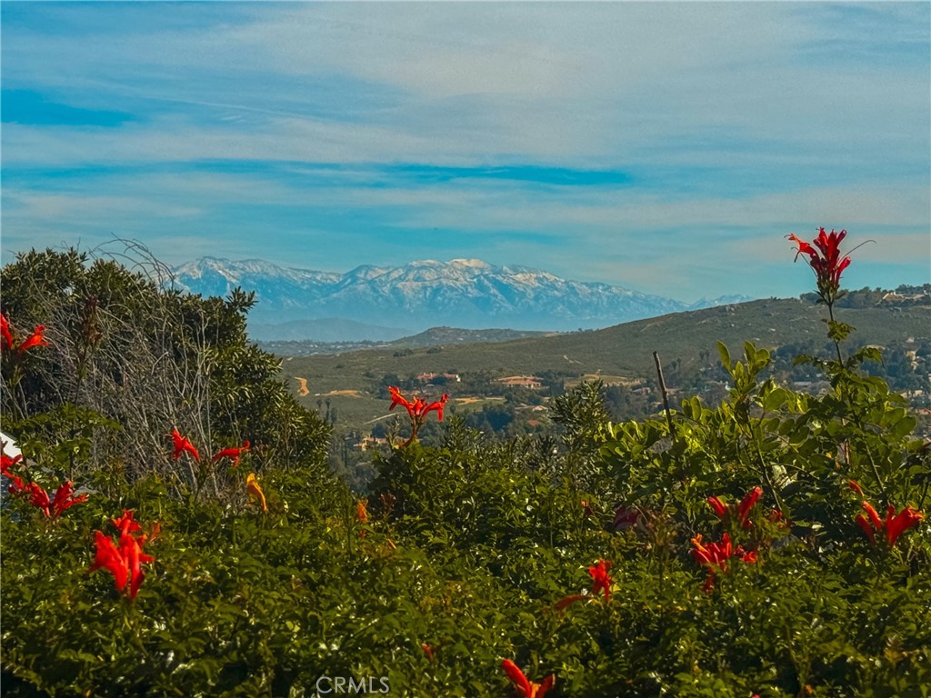 14312 Martin Riverside, CA 92503 - Photo 32 of 58 a view of a lake with a flower garden