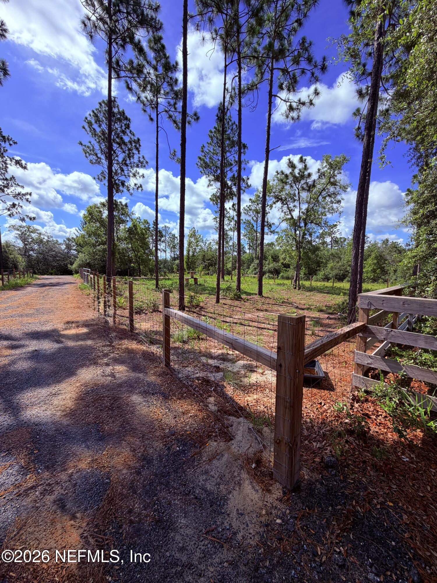 7914 Odom Rnch Trail Keystone Heights, FL 32656 - Photo 6 of 30 IMG_4944