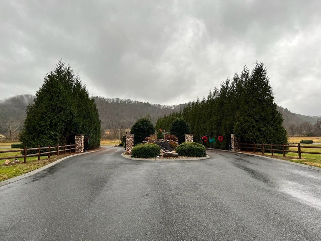 35913595 River Crest Way Del Rio, TN 37727 - Photo 4 of 6 a view of the street with a parked car