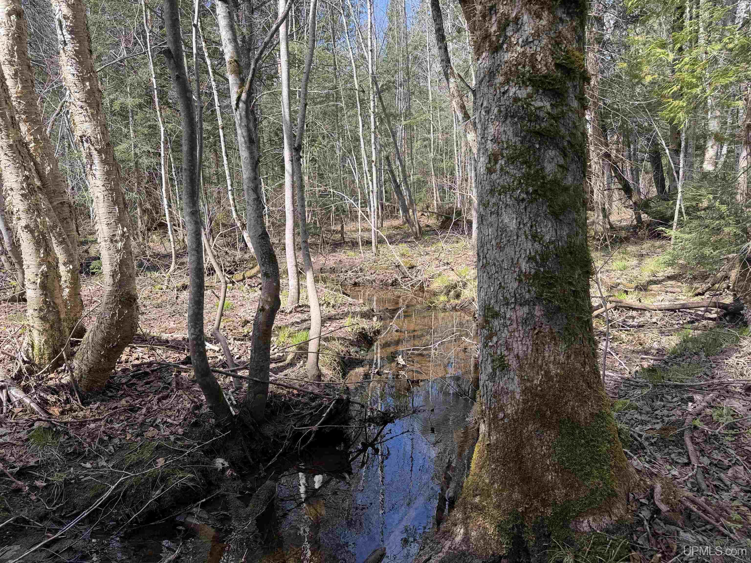 Off Black River Road Ironwood, MI 49938 - Photo 16 of 31