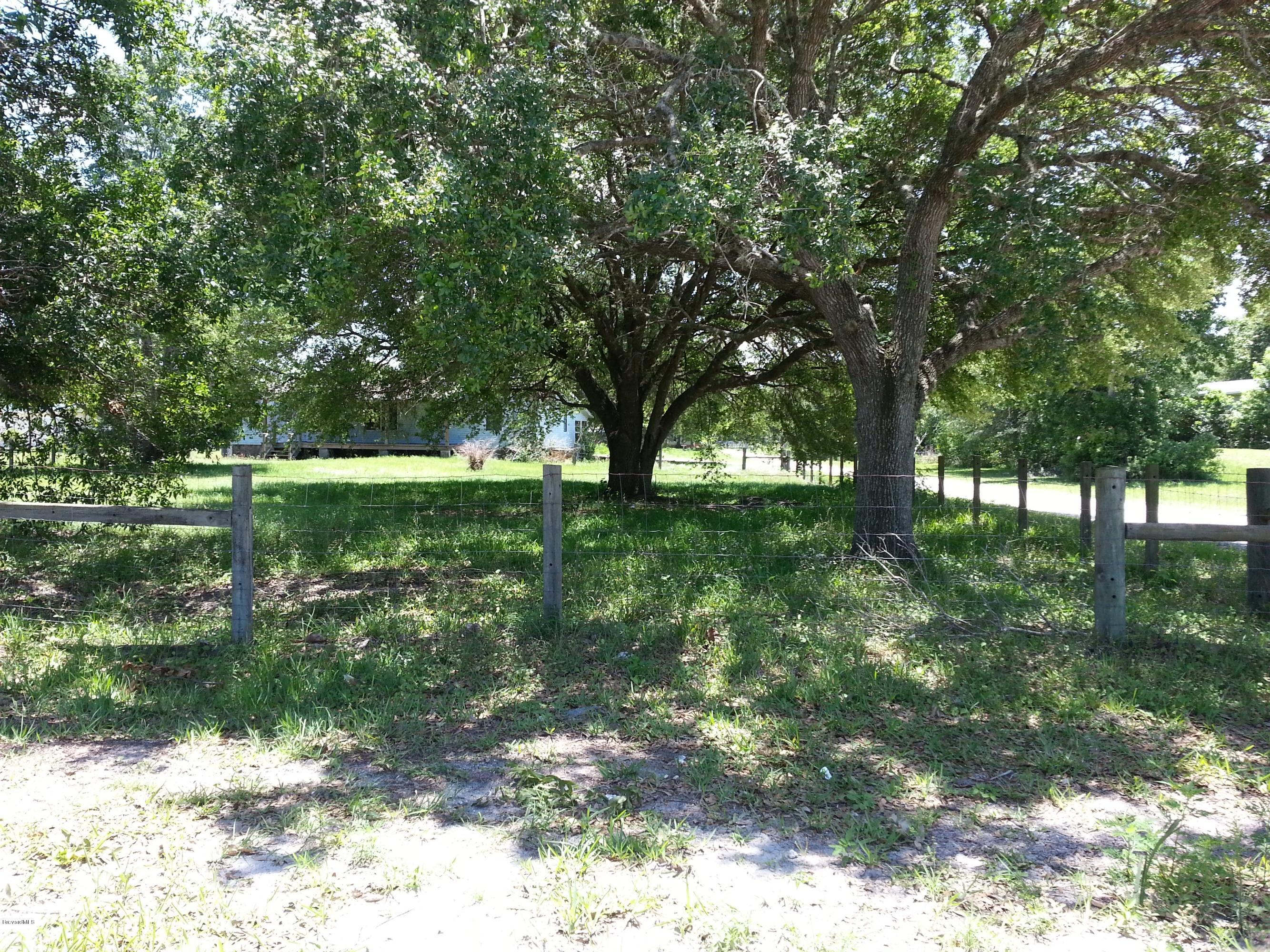 4245 Aurantia Road Mims, FL 32754 - Photo 4 of 7 20130506_133143