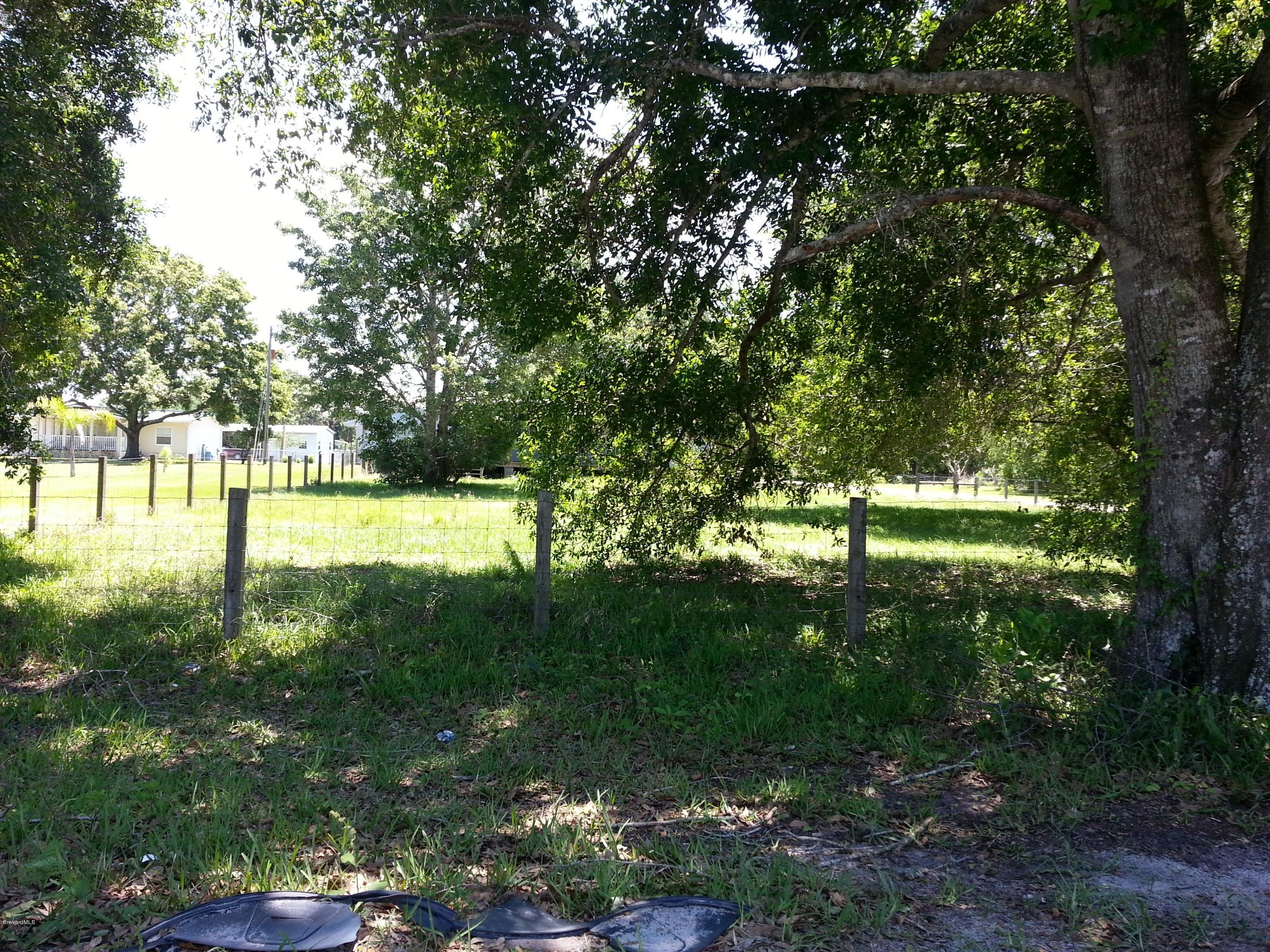 4245 Aurantia Road Mims, FL 32754 - Photo 5 of 7 20130506_133205