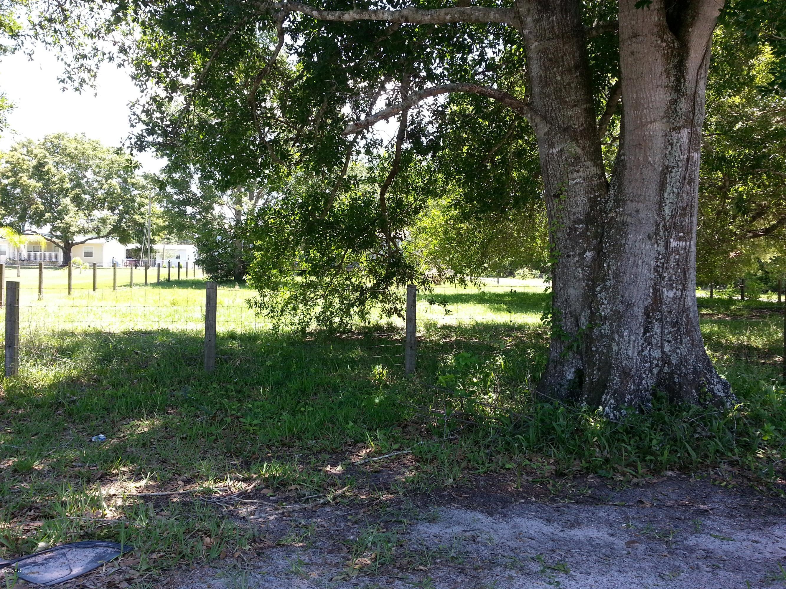 4245 Aurantia Road Mims, FL 32754 - Photo 7 of 7 20130506_133225
