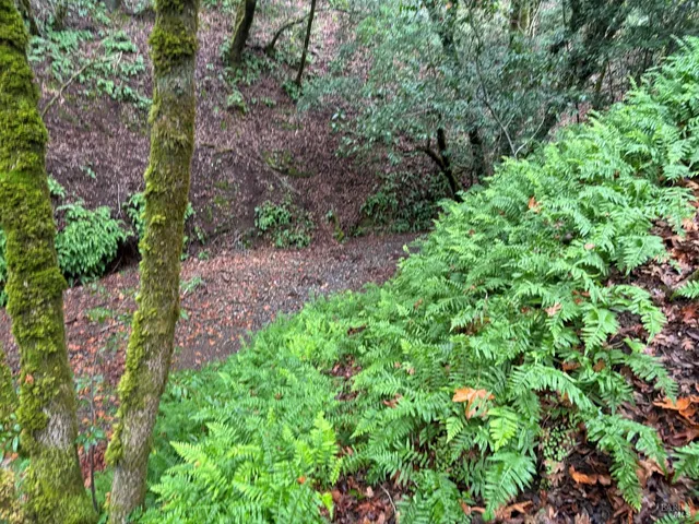 $249,000 | 11285 Dell Avenue, Forestville, CA 95436