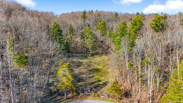 $199,985 | Tbd Crigger Creek, Sugar Grove, VA 24375