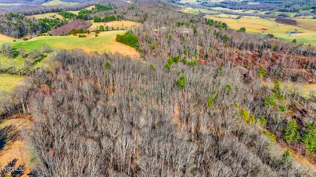 $199,985 | Tbd Crigger Creek, Sugar Grove, VA 24375