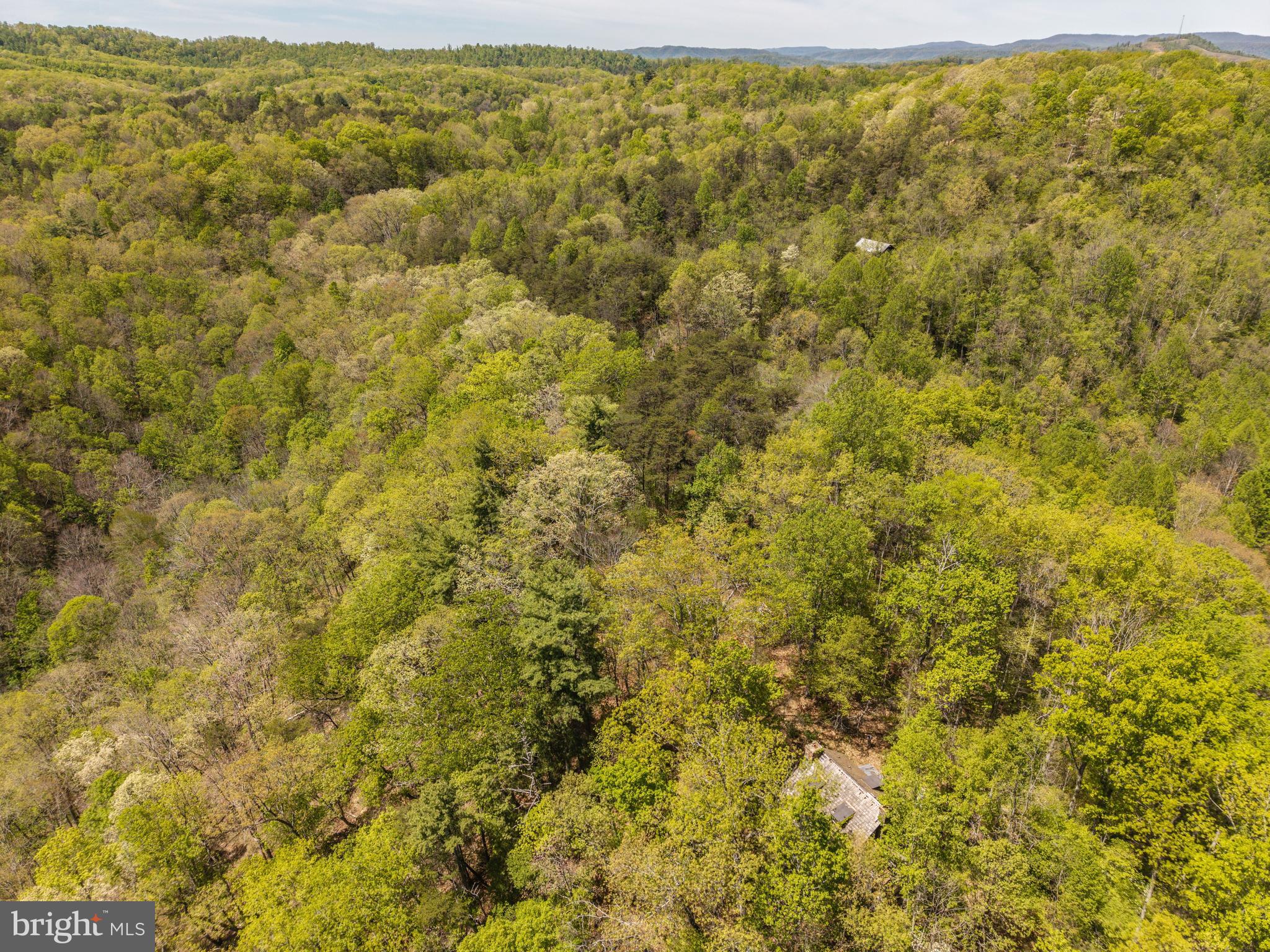Wayside Creamery Road Wayside, WV 24985 - Photo 11 of 25