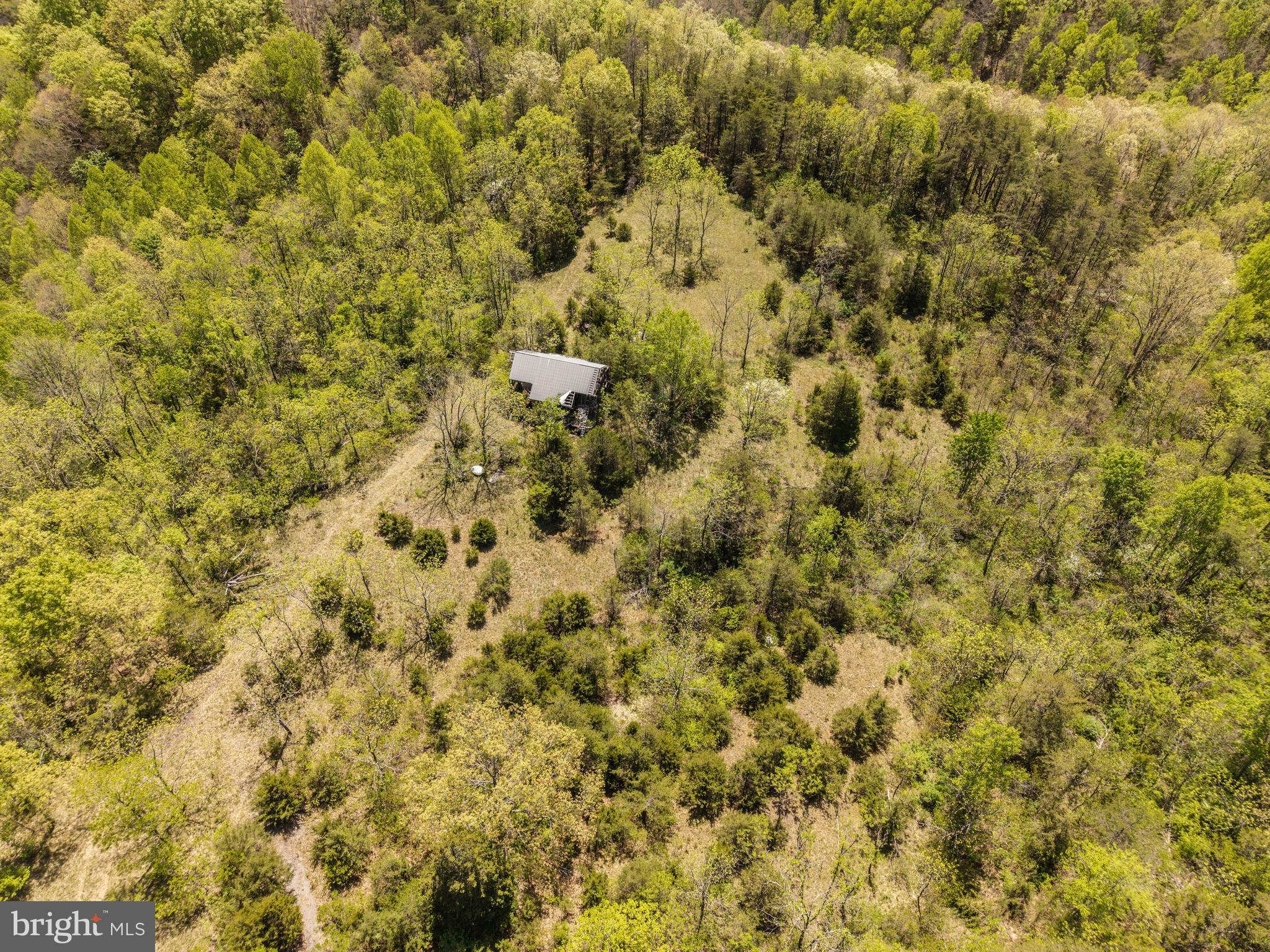Wayside Creamery Road Wayside, WV 24985 - Photo 14 of 25