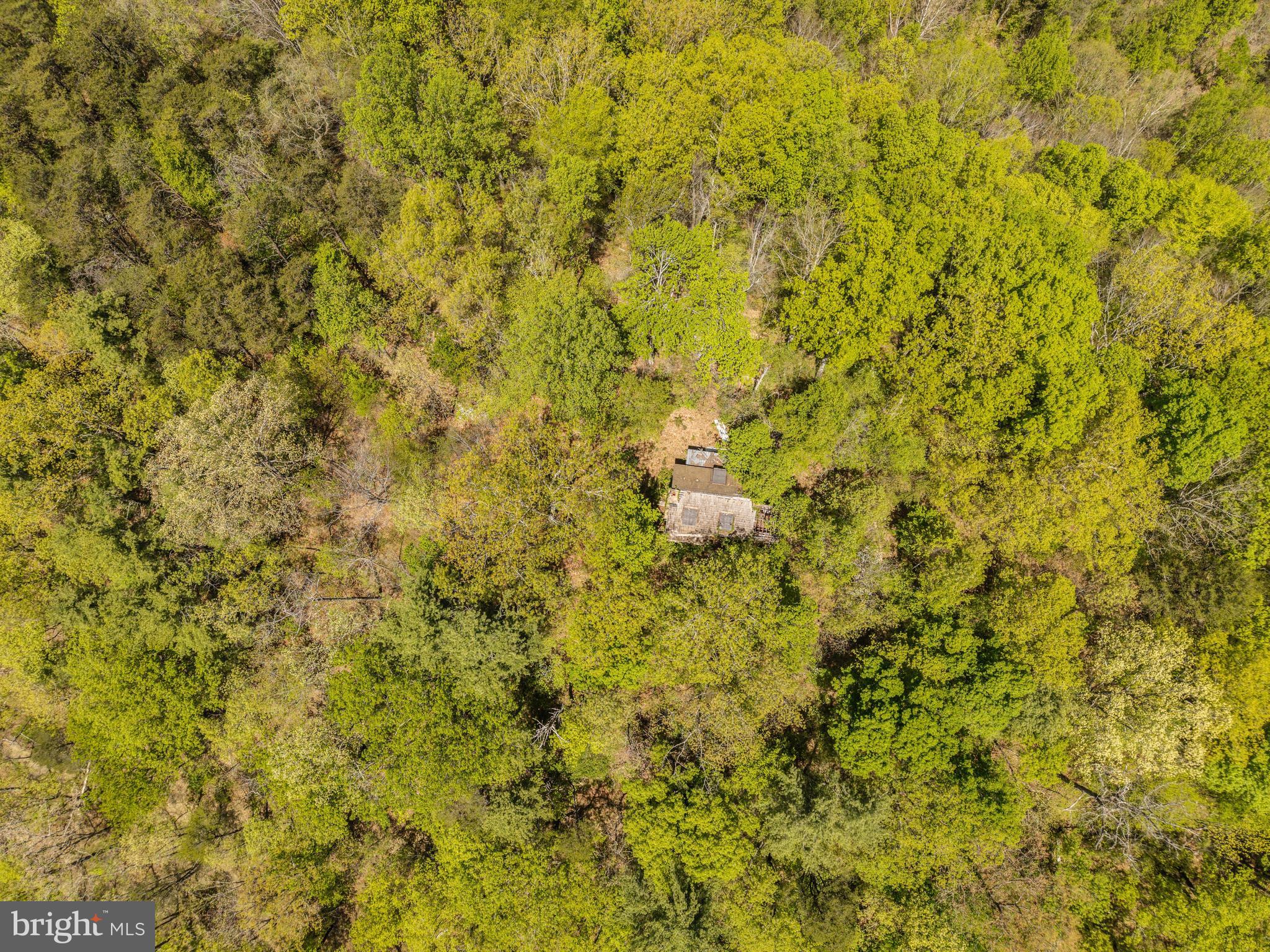Wayside Creamery Road Wayside, WV 24985 - Photo 15 of 25