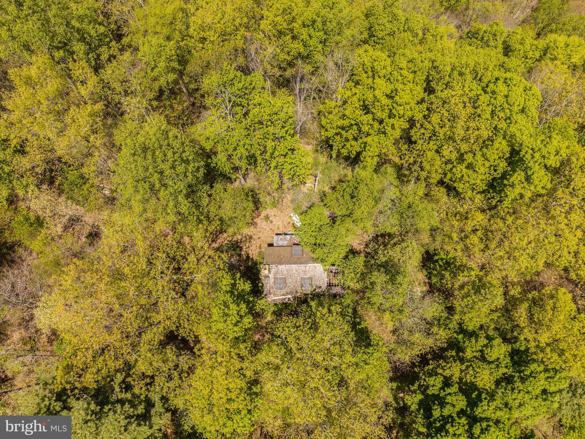 Wayside Creamery Road Wayside, WV 24985 - Photo 16 of 25
