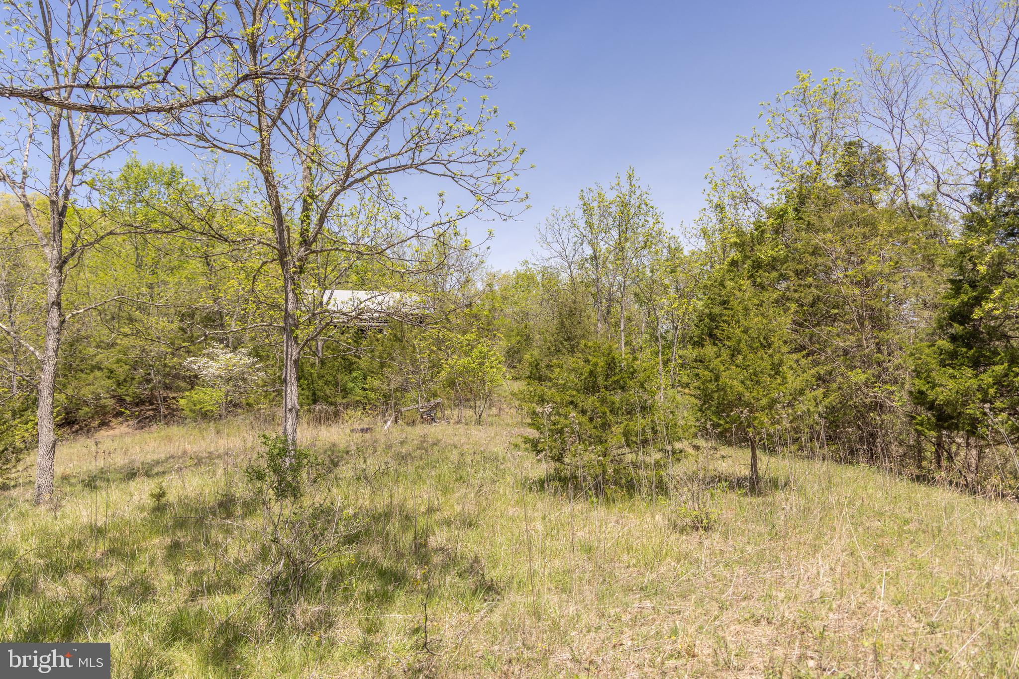 Wayside Creamery Road Wayside, WV 24985 - Photo 17 of 25
