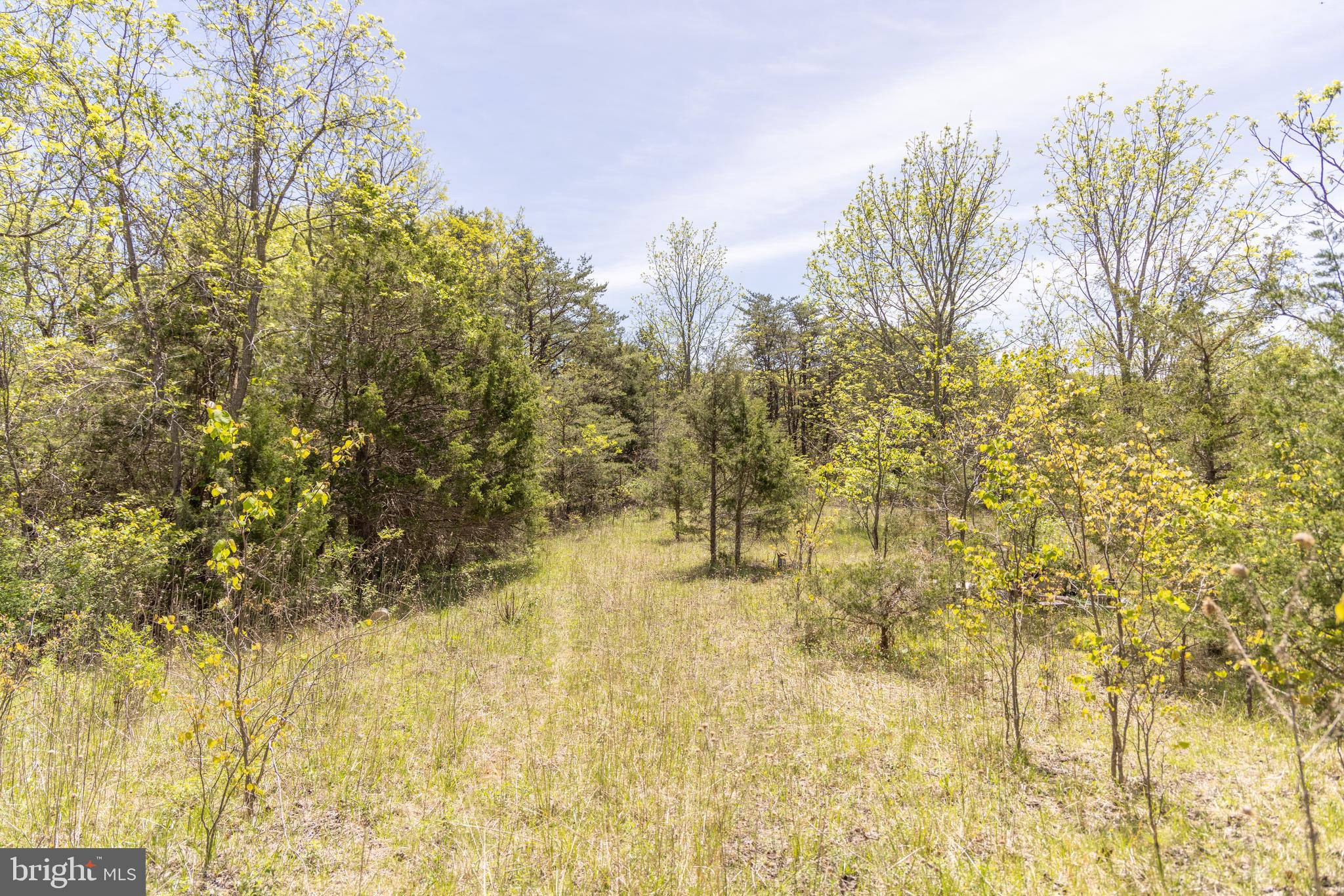 Wayside Creamery Road Wayside, WV 24985 - Photo 18 of 25