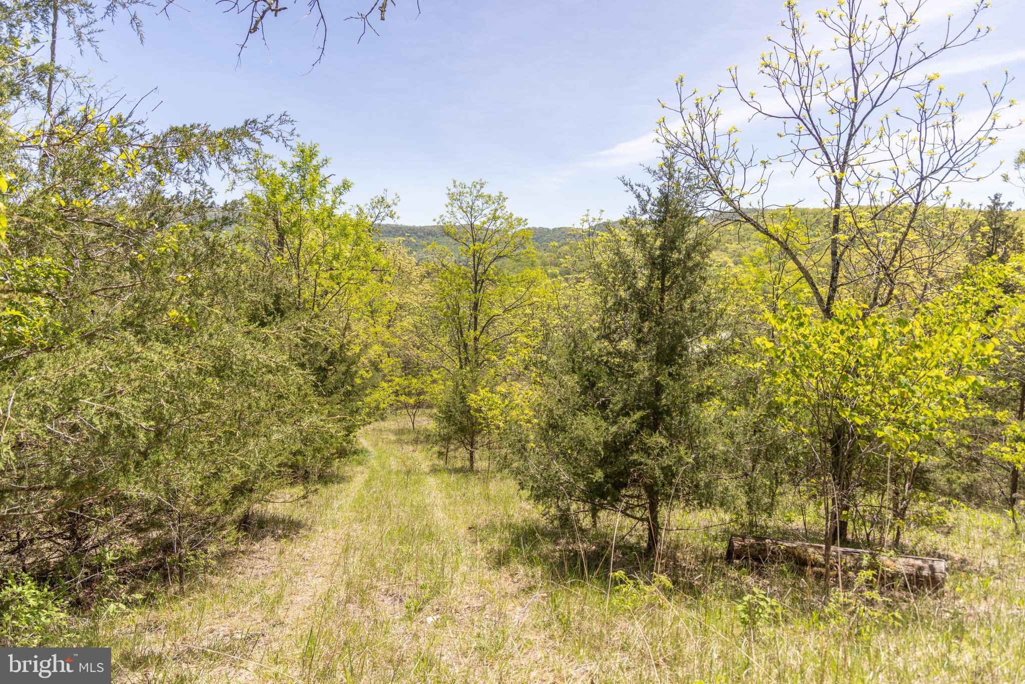 Wayside Creamery Road Wayside, WV 24985 - Photo 22 of 25