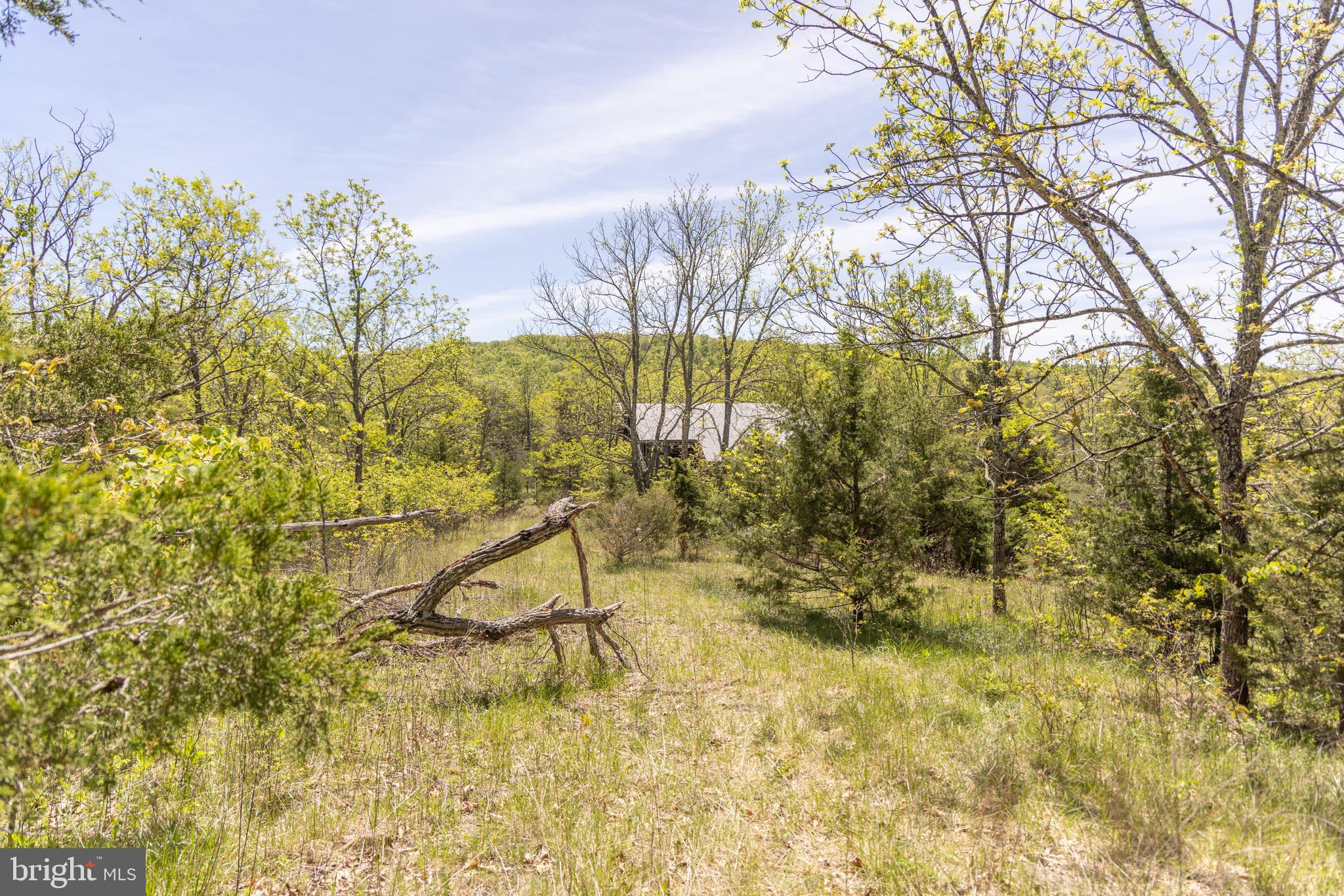 Wayside Creamery Road Wayside, WV 24985 - Photo 24 of 25