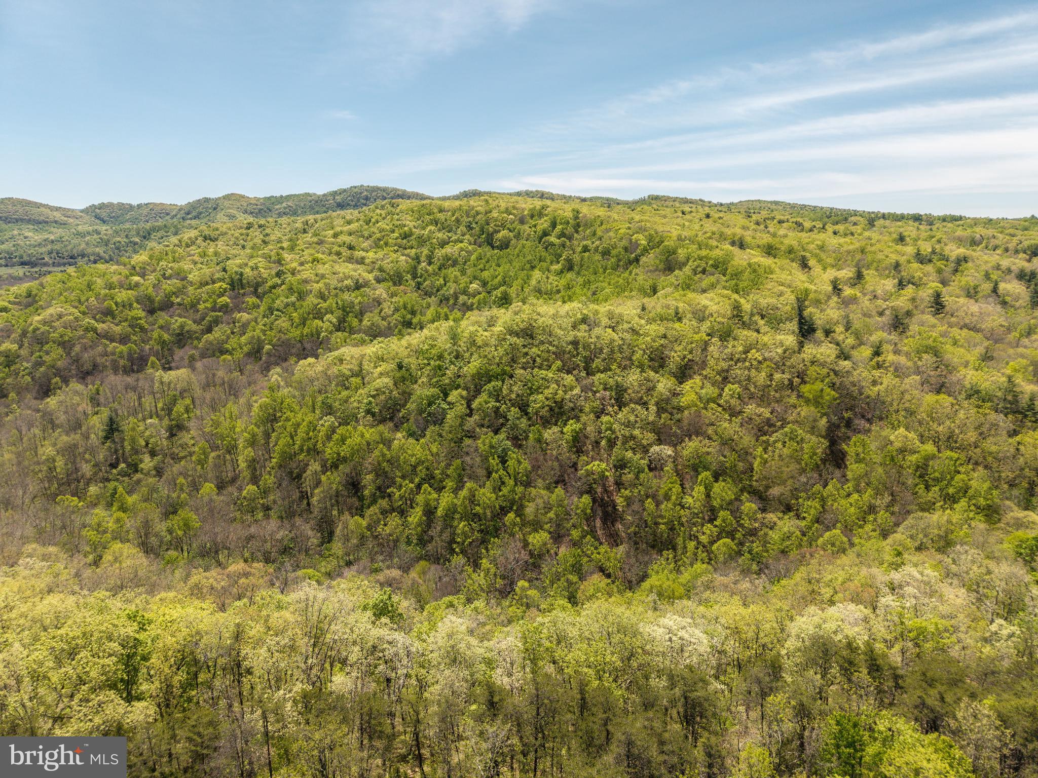 Wayside Creamery Road Wayside, WV 24985 - Photo 5 of 25