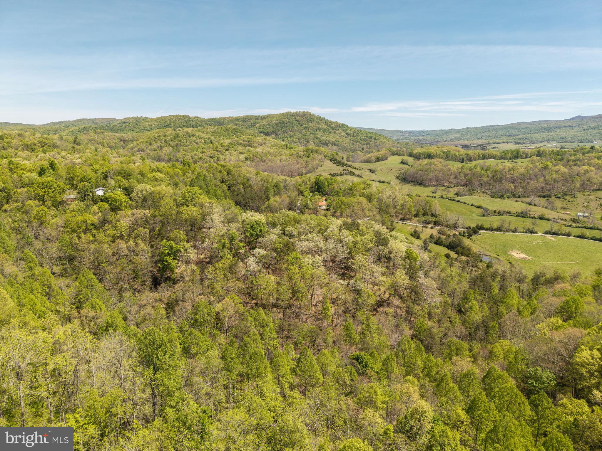 Wayside Creamery Road Wayside, WV 24985 - Photo 6 of 25