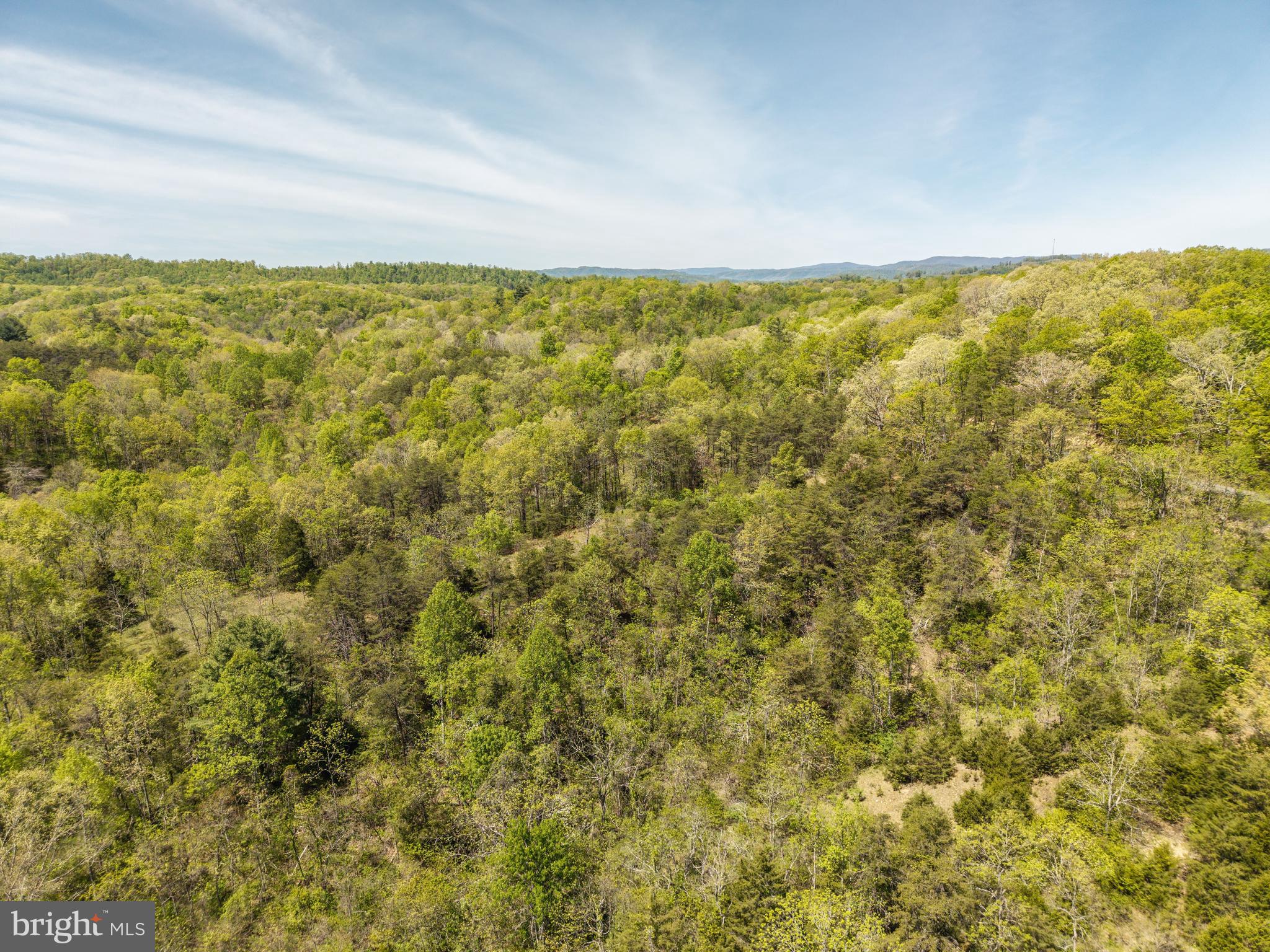 Wayside Creamery Road Wayside, WV 24985 - Photo 7 of 25