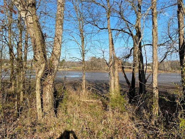 6.79 New Union Road Dayton, TN 37321 - Photo 1 of 8 Twila7