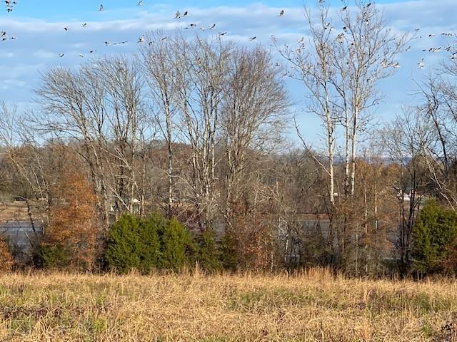 6.79 New Union Road Dayton, TN 37321 - Photo 2 of 8 Twila3