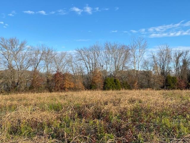 6.79 New Union Road Dayton, TN 37321 - Photo 3 of 8 Twila4