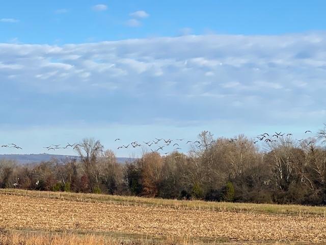 6.79 New Union Road Dayton, TN 37321 - Photo 4 of 8 Twila2
