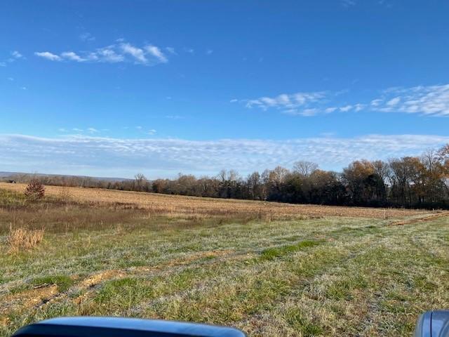 6.79 New Union Road Dayton, TN 37321 - Photo 5 of 8 Twila1