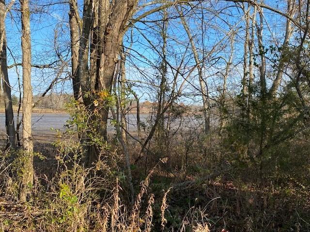 6.79 New Union Road Dayton, TN 37321 - Photo 6 of 8 Twila6