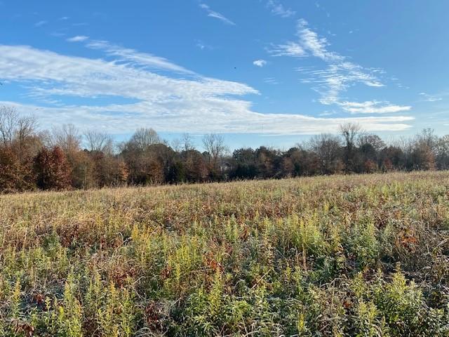 6.79 New Union Road Dayton, TN 37321 - Photo 7 of 8 Twila5