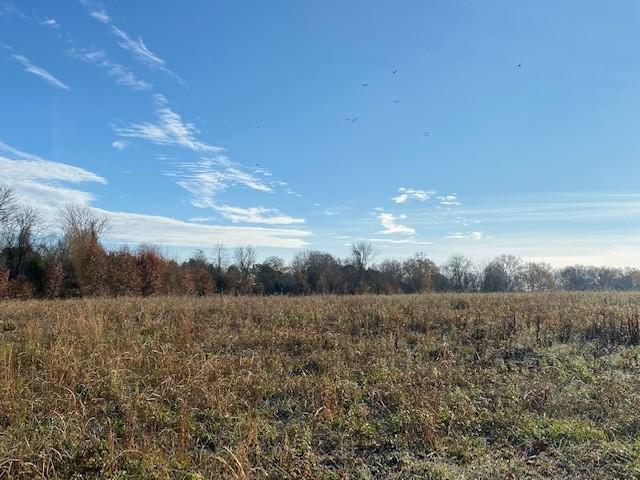 6.79 New Union Road Dayton, TN 37321 - Photo 8 of 8 Twila8