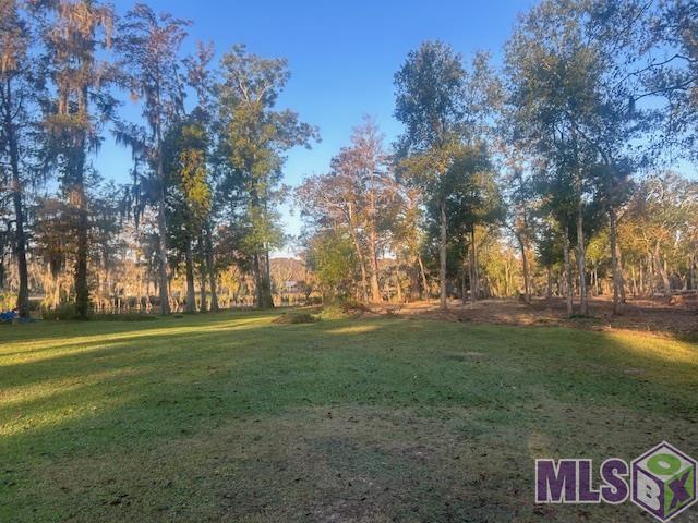 14293 Old River Road Maurepas, LA 70449 - Photo 2 of 14