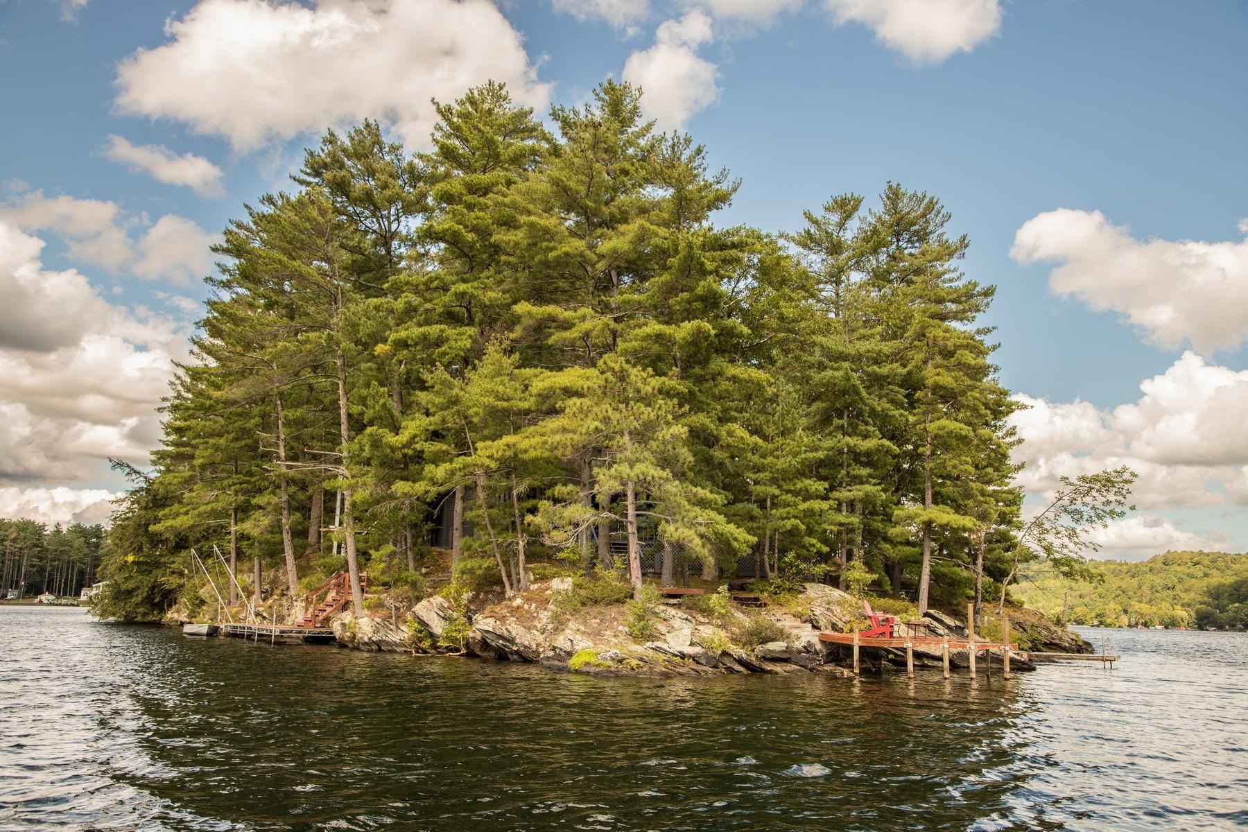 50 Rabbit Island Bomoseen, VT 05732 - Photo 32 of 40
