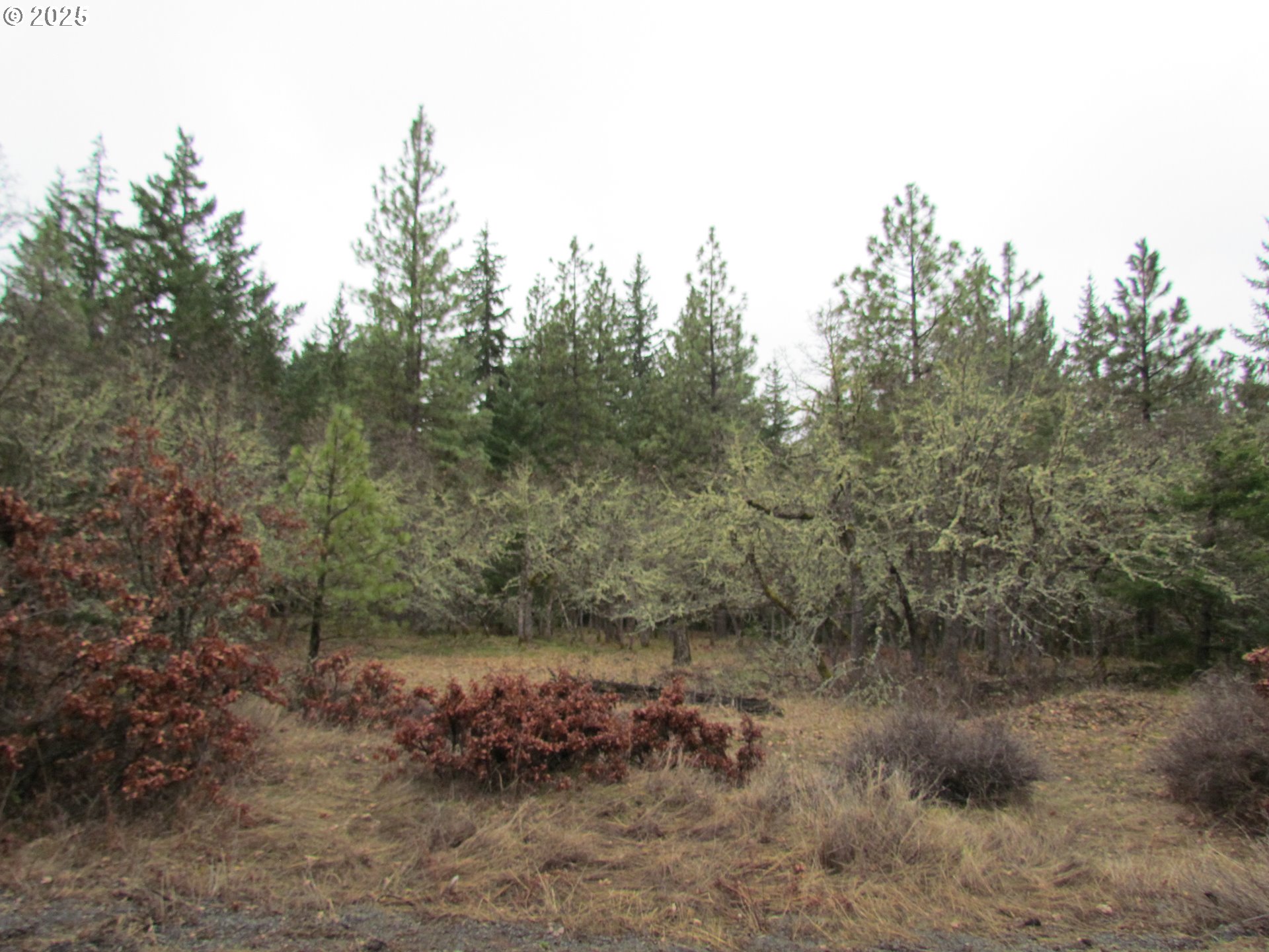 55 Bertha N Orchard Road Lyle, WA 98635 - Photo 1 of 42 Gallery Image 1