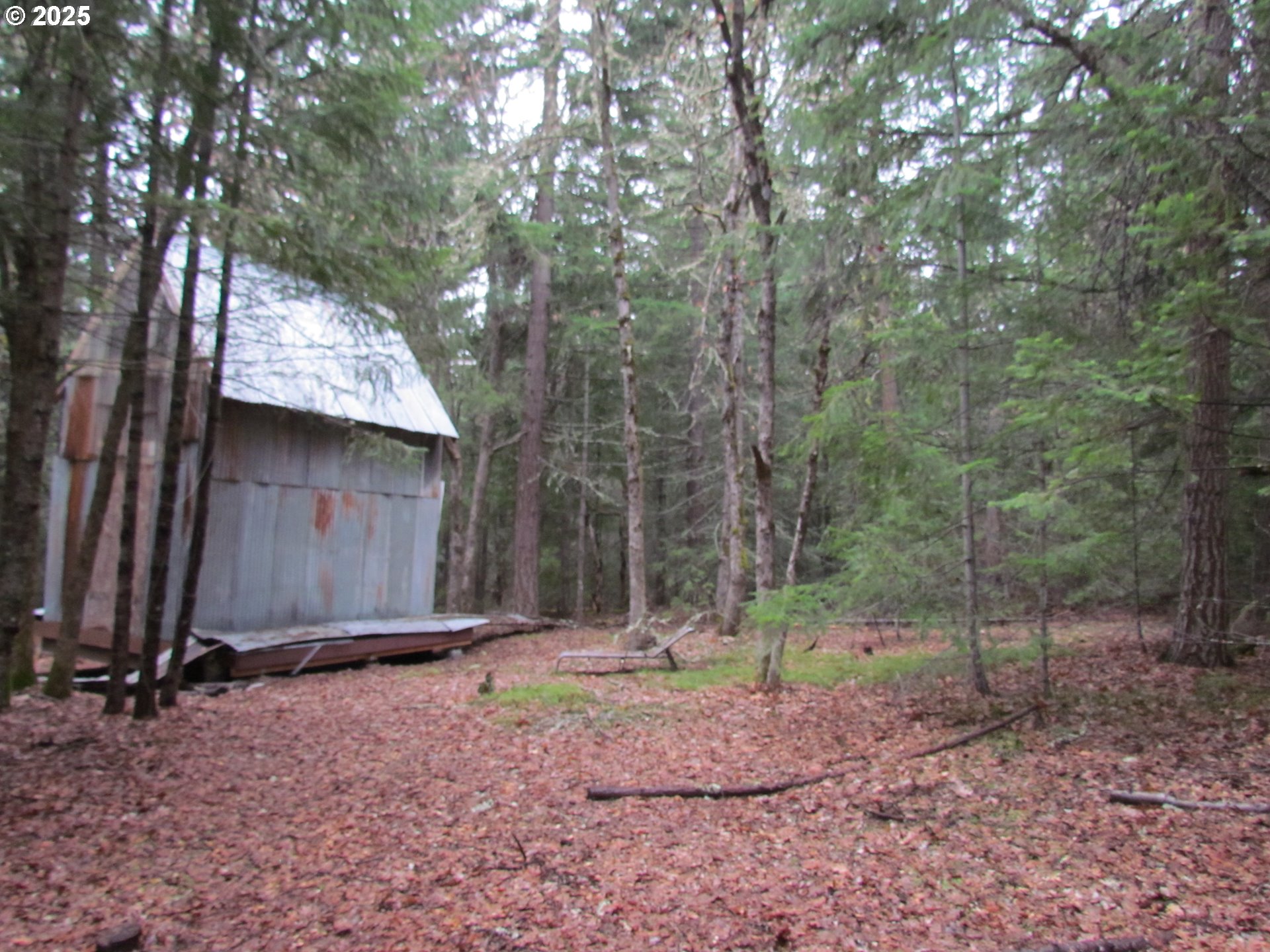 55 Bertha N Orchard Road Lyle, WA 98635 - Photo 11 of 42 Gallery Image 11