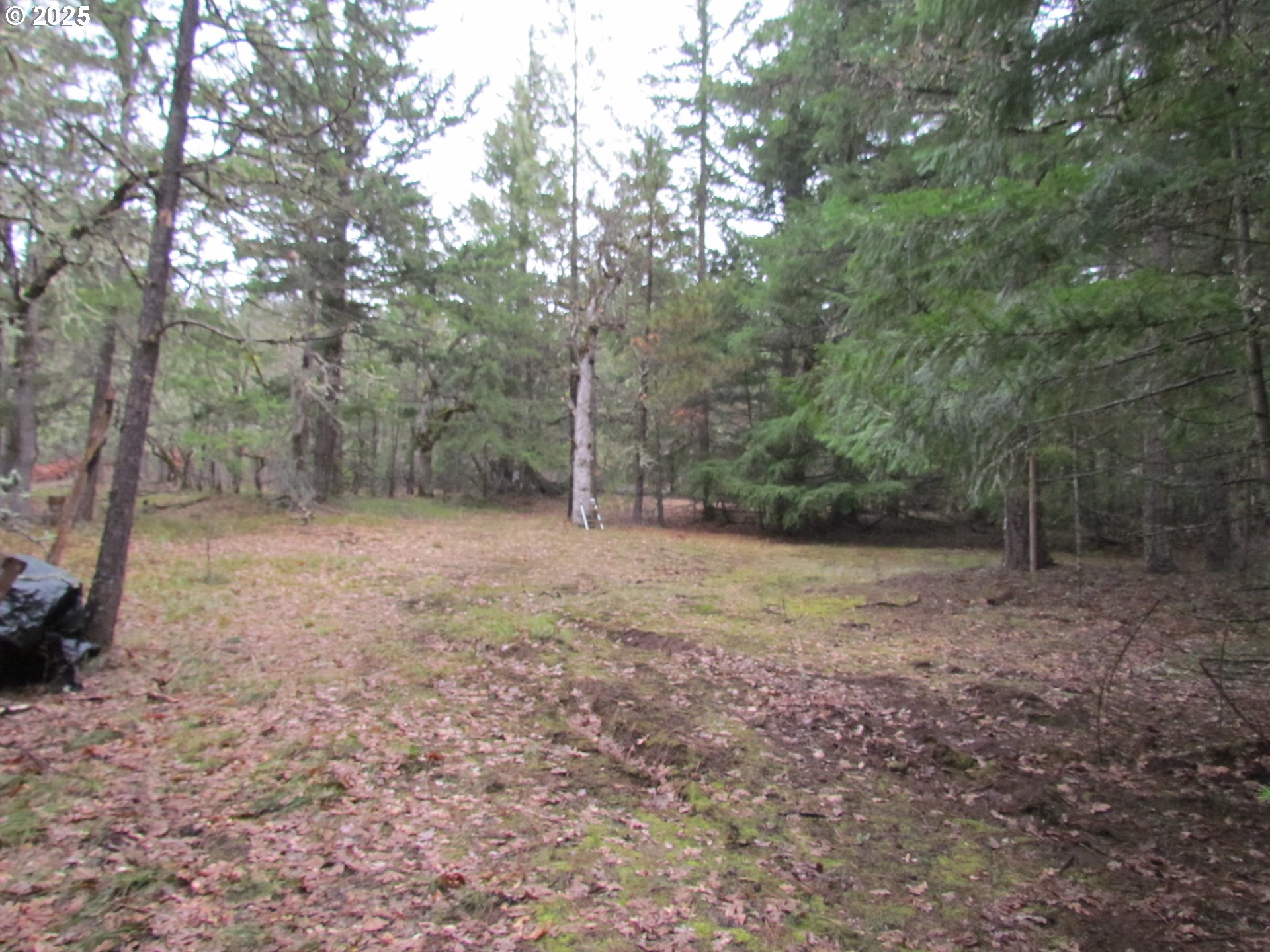 55 Bertha N Orchard Road Lyle, WA 98635 - Photo 16 of 42 Gallery Image 16