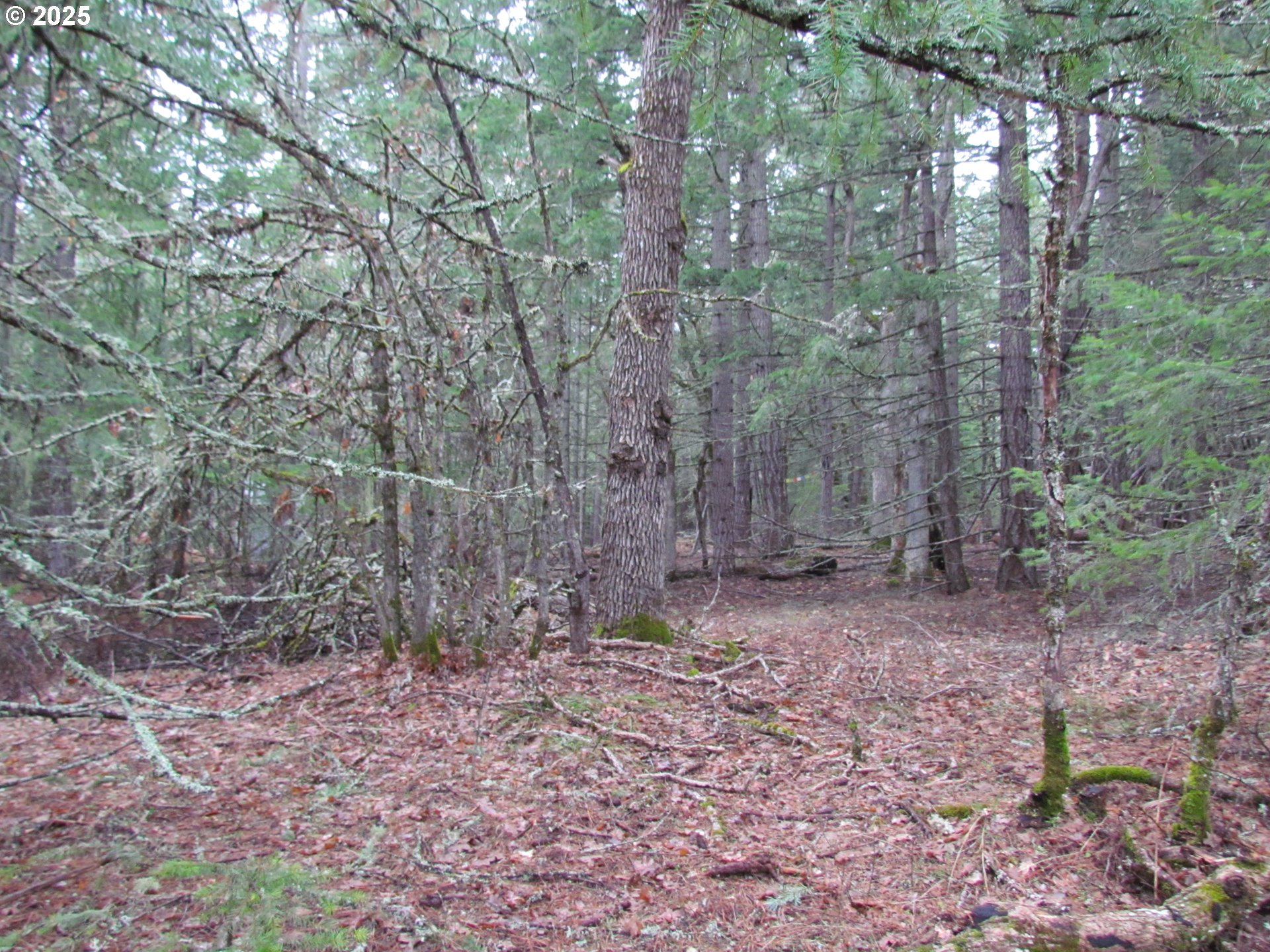 55 Bertha N Orchard Road Lyle, WA 98635 - Photo 20 of 42 Gallery Image 20