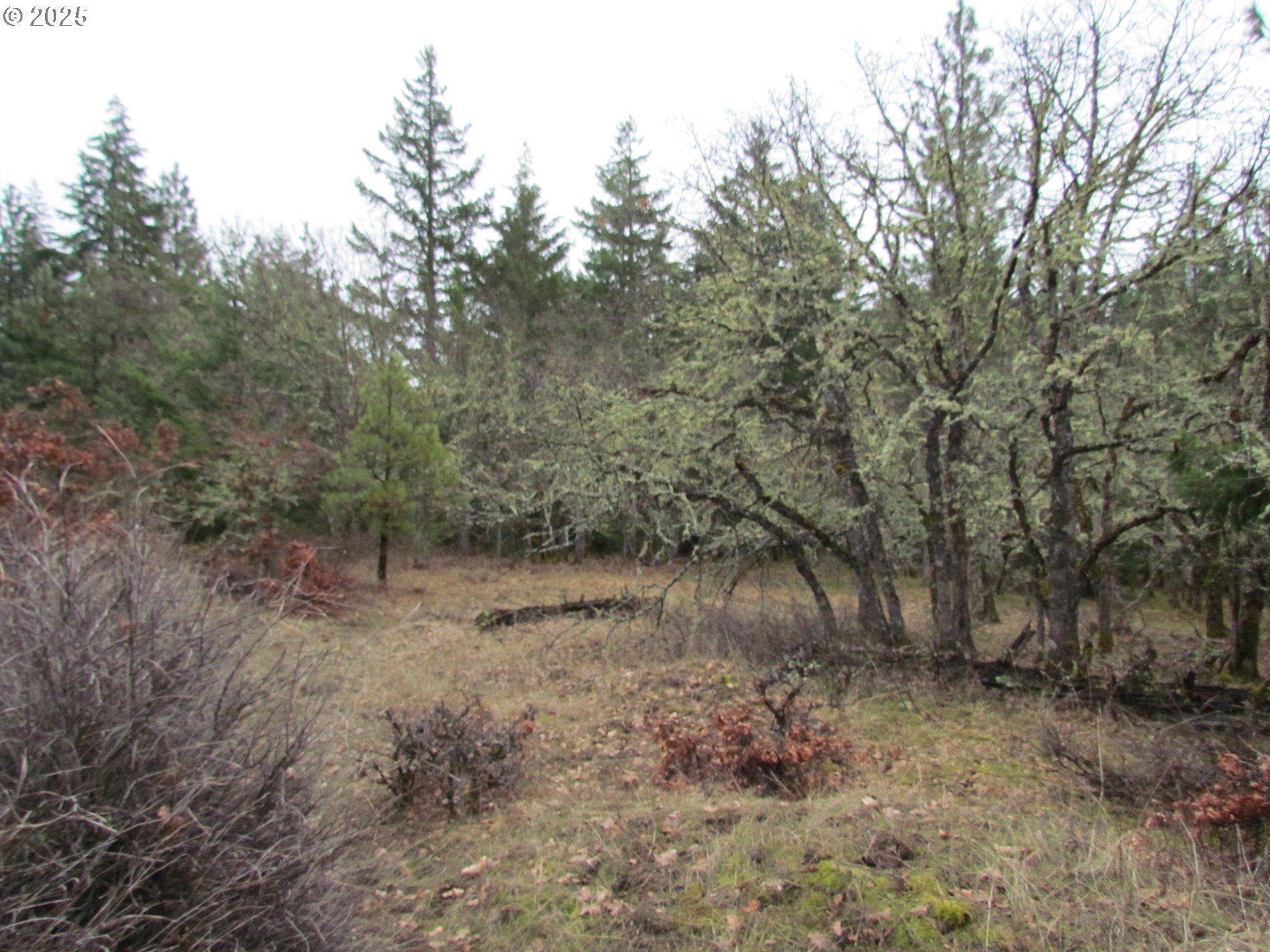 55 Bertha N Orchard Road Lyle, WA 98635 - Photo 2 of 42 Gallery Image 2