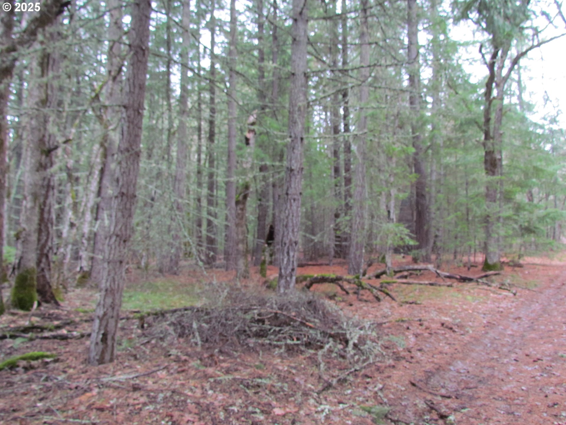 55 Bertha N Orchard Road Lyle, WA 98635 - Photo 21 of 42 Gallery Image 21