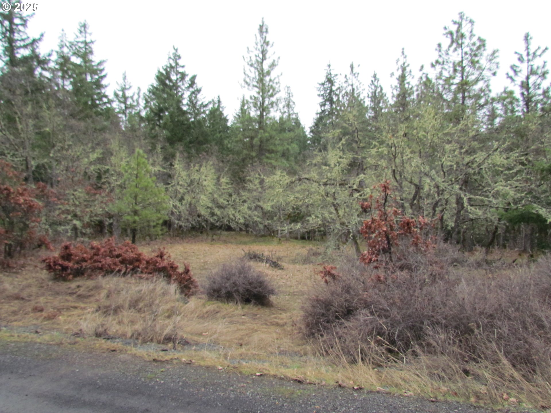 55 Bertha N Orchard Road Lyle, WA 98635 - Photo 3 of 42 Gallery Image 3